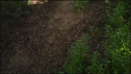 The Goldbergs - Season 10 Episode 19